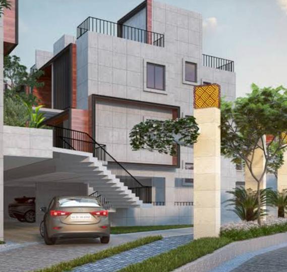 Radiance Gardenia Main Image 1