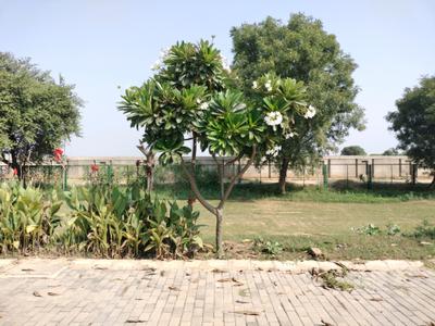 Image of 1152 Sq.ft Residential Plot / Land for sale in Adore Smart City 2, Tajupur, Faridabad for Rs. 17200000