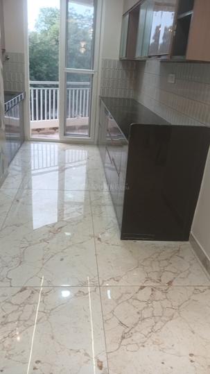 Livgyan Main Image 1