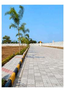 Residential Plot