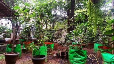 Balcony Image of Home Away From Home in Koramangala, Bangalore
