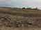 AK LAND DEVELOPER PLOTS IN PEN Plot View 2