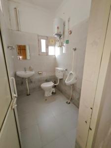 Image of 900 Sq.ft 2 BHK Independent House for rent in Sector 58, Mohali for Rs. 18000