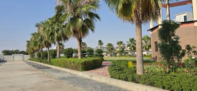 Image of 1100 Sq.ft Residential Plot / Land for sale in Californea Citi, Kanadiya, Indore for Rs. 6380000
