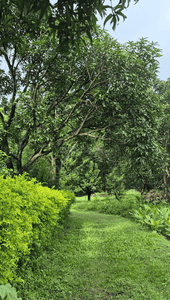 Image of 1800 Sq.ft Residential Plot / Land for sale in Tilwari, Dehradun for Rs. 3600000