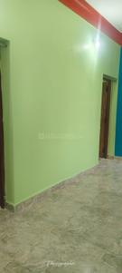 Hall Image of 1200 Sq.ft 3 BHK Independent House for rent in Thuppaki Nagar Tiruchirappalli for Rs. 10000