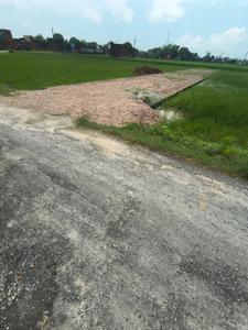 Image of 1360 Sq.ft 1 BHK Farm House for sale in Narayanpur, Mirzapur for Rs. 2350000