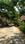 Neelankarai Land Plot View 2