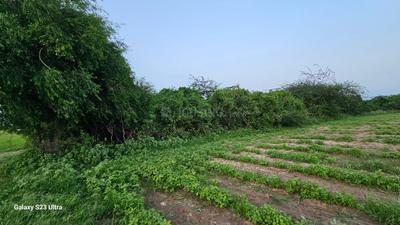 Image of 10000 Sq.ft Residential Plot / Land for sale in Becharaji, Mehsana for Rs. 5000000