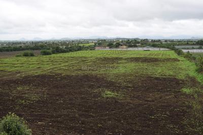 Image of 10780 Sq.ft Residential Plot / Land for sale in Dugaon, Nashik for Rs. 5551000