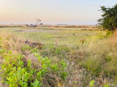 Image of 1089 Sq.ft Residential Plot / Land for sale in Invest Mahamumbai Plots In Uran, Uran, Navi Mumbai for Rs. 520000