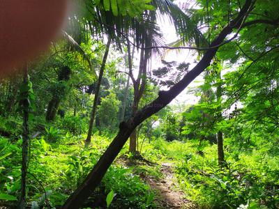 Image of 8711 Sq.ft Residential Plot / Land for sale in Parambil Bazar, Kozhikode for Rs. 300000