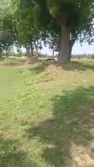 Bakshi Ka Talab Main Image 1