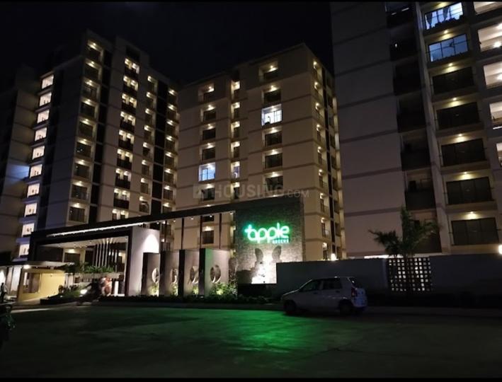 Vraj Apple Green Main Image 1