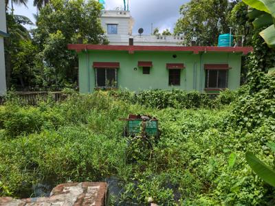 Bisharpara Plot View 3
