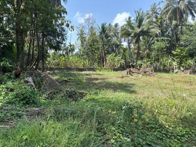 Image of 11700 Sq.ft Residential Plot / Land for sale in Vasai West, Vasai for Rs. 40000000