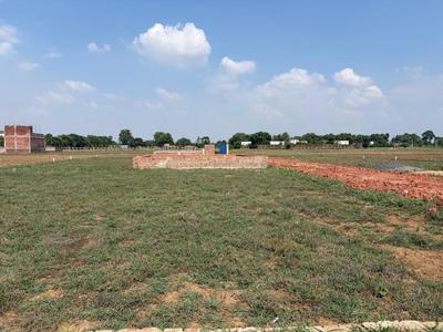 NP CONSTRUCTION Plot View 3