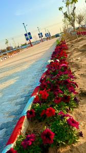 Image of 100 Sq.ft Residential Plot / Land for sale in Jharna, Jaipur for Rs. 1380000