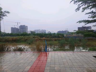 Image of 147 Sq.ft Residential Plot / Land for sale in Skywhales Vienna Greens II, Sector 99A, Gurgaon for Rs. 26700006