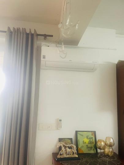 Tulip Violet Main Image 1