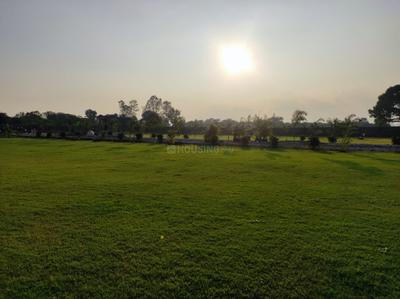Majestic country walk Plot View 3