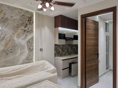 Living Room Image of 400 Sq.ft 1 BHK Apartment / Flat for sale in Razapur Khurd New Delhi for Rs. 2450000
