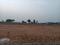Adibatla Plot View 2