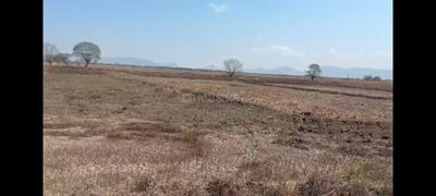 Image of 1089 Sq.ft Residential Plot / Land for sale in Hamarapur, Raigad for Rs. 350000