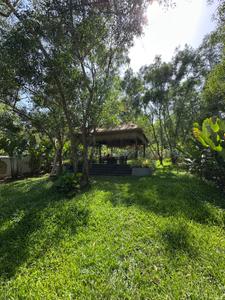 Image of 3848 Sq.ft 4 BHK Villa for sale in Parra, Goa for Rs. 150000000