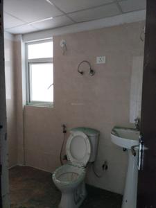 Common Bathroom Image of 1000 Sq.ft 2 BHK Apartment / Flat for sale in Amrapali Verona Heights, Noida Extension Greater Noida for Rs. 7200000