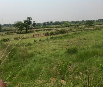 Image of 87100 Sq.ft Residential Plot / Land for sale in Khalari, Angul for Rs. 1100000