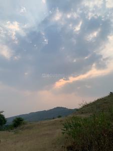 Image of 11000 Sq.ft Residential Plot / Land for sale in Bhor, Pune for Rs. 2070000