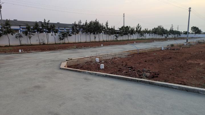 Peedampalli Main Image 1