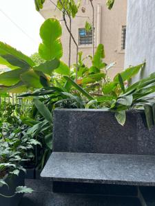 Balcony Image of 7000 Sq.ft 4 BHK Villa for rent in Armane Nagar Bengaluru for Rs. 350000