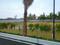 Thaiyur Plot View 2