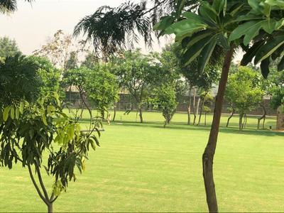 Image of 9000 Sq.ft 4 BHK Farm House for sale in Sector 79, Gurgaon for Rs. 25000000