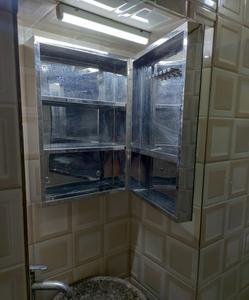 Bathroom Image of 1000 Sq.ft 2 BHK Apartment / Flat for sale in Virar East Virar for Rs. 5100000