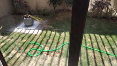 Kitchen Image of 3900 Sq.ft 4 BHK Villa for sale in Rau Indore for Rs. 32000000