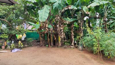 Image of 4000 Sq.ft Residential Plot / Land for sale in Changanassery, Kottayam for Rs. 500000