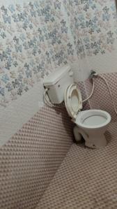 Bathroom Image of 600 Sq.ft 2 BHK Builder Floor for rent in Vadde Palem Ongole for Rs. 8500