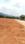 Teachers colony Plot View 2