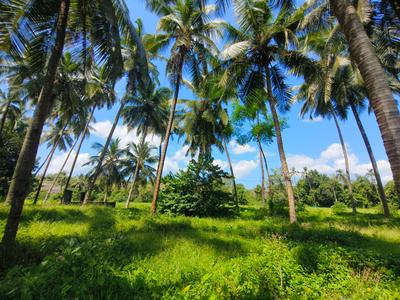 Image of 150 Sq.ft 1 RK Farm House for rent in Manipal, Udupi for Rs. 35000