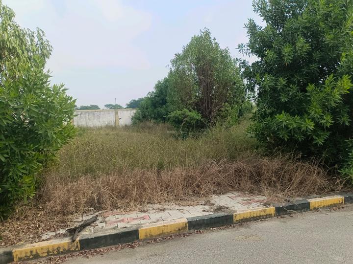 Devender Colony Plot View 1