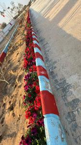 Image of 100 Sq.ft Residential Plot / Land for sale in Jharna, Jaipur for Rs. 1380000