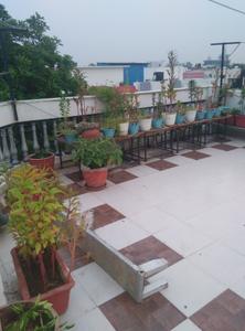 Balcony Image of 4500 Sq.ft 10 BHK Independent House for sale in Sector 14 Gurgaon for Rs. 81500000