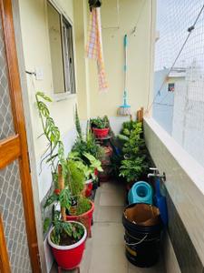 Balcony Image of 975 Sq.ft 2 BHK Apartment / Flat for sale in Chhota Bangarda Indore for Rs. 3900000