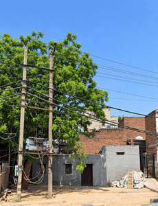 Image of 1260 Sq.ft Residential Plot / Land for sale in Sector 88A, Gurgaon for Rs. 33000000
