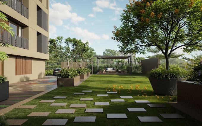 Saiyamm Apricus Main Image 1