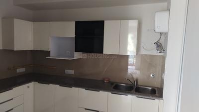 Kitchen Image of 1950 Sq.ft 3 BHK Apartment / Flat for rent in Beverly Golf Avenue, Sector 65 Mohali for Rs. 65000