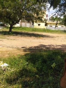 royal rajputana co Plot View 2
